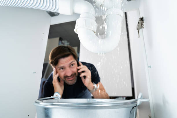 Best Sewer Line Replacement  in Frankford, DE